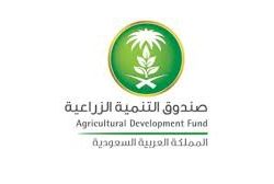 موسم عنيزة للتمور يبدأ باستقبال ثمرة “الصقعي”