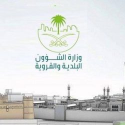 «الجمارك»: 3 حالات تدخل ضمن جرائم التهرب الضريبي