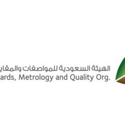 المنظمة العربية الكشفية تنظم دراسة كشفية رقمية