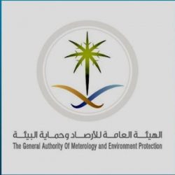 “غينيس” تُسجل واحة الأحساء كأكبر واحة في العالم