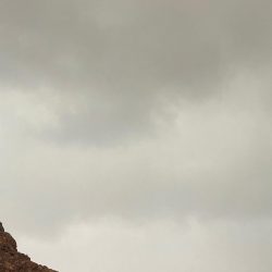 بالأسماء.. 20 من أساتذة جامعة الملك سعود ضمن قائمة أفضل علماء العالم