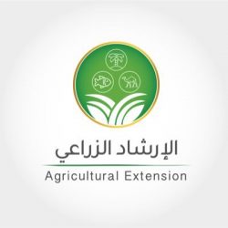 صيدلة “أم القرى” تُطلِقُ غدًا مؤتمرها الأول للتعليم الصيدليِّ.