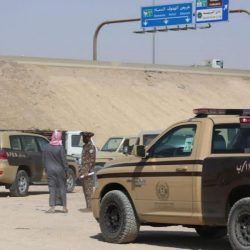 هيئة تقويم التعليم والتدريب تعلن الإطلاق التجريبي لمشروع التصنيف السعودي لمؤسسات التعليم العالي المحلية