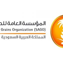 تفويج 408 آلاف معتمر بالحرم منذ بدء العمرة