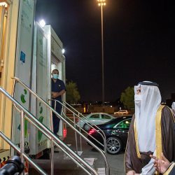 نادي الصقور السعودي يُطلق برنامج “هدد” لإعادة الصقور إلى مواطنها الأصلية