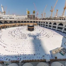 نادي الصقور السعودي يُطلق برنامج “هدد” لإعادة الصقور إلى مواطنها الأصلية