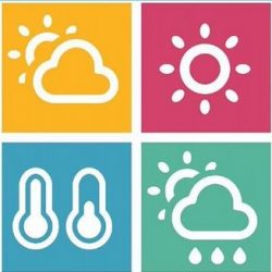 شرطة منطقة الرياض: القبض على شخصين قاما بتهشيم زجاج المركبات واستوليا على ما تحويه من مبالغ مالية ومقتنيات