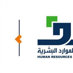 أمن الطرق في الشرقية يضبط 3 أشخاص لقيامهم بنقل شاحنات محملة بالحطب المحلي لغرض البيع