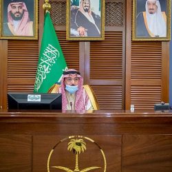 “الغذاء والدواء” تفوز بجائزة التميز الحكومي العربي