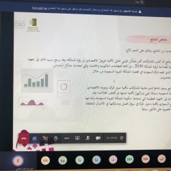 السواحه: المملكة تقود مجموعة العشرين لتعزيز نمو الاقتصاد الرقمي وزيادة الموثوقية والأمان في التقنيات الناشئة