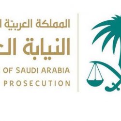 إعلاميون مبادرون يطلقون 4 دورات إعلامية متخصصة