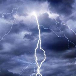 القبض على ثلاث مركبات محملة بالحطب المحلي في وادي بن هشبل