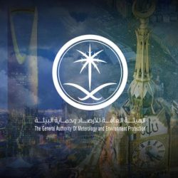 خادم الحرمين: أهم أولوياتنا الحالية تتم حول إنقاذ الأرواح وإيجاد لقاح لكورونا