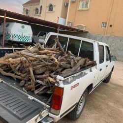 خادم الحرمين وولي العهد يهنئان السيدة كامالا هاريس بمناسبة فوزها بمنصب نائبة رئيس الولايات المتحدة الأمريكية