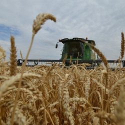 سمو أمير المدينة المنورة يطلع على جهود القوافل الطبية المتنقلة بجمعية ” حياة ” الخيرية