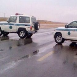 المرصد الوطني للعمل يدعم التحول الاستراتيجي في سوق العمل