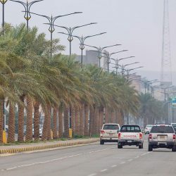 سمو أمير منطقة مكة المكرمة يرعى اللقاء الافتراضي السنوي الرابع لأندية “نزاهة” بجامعة الملك عبدالعزيز الأربعاء المقبل