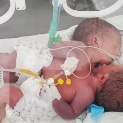 فضيلة الشيخ أحمد بن طالب في خطبة الجمعة: إن الله باسم الإيمان ناداكم، ولتقواه دعاكم، وأمركم بمحاسبة أنفسكم قبل الحساب