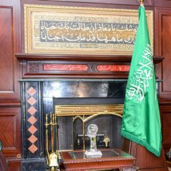 صقار يحقق المراكز الخمس الأولى بملواح مهرجان الصقور