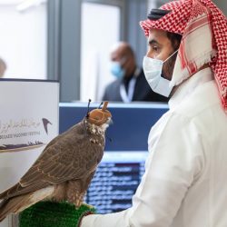الصحة”: تسجيل 249 حالة إصابة بكورونا .. وتعافي 337 خلال الـ24 ساعة الماضية