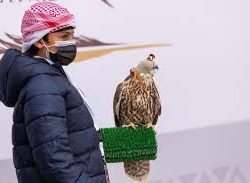 بالتعاون مع الجهات الأمنية ..”البيئة” تصادر 150 طنًا من الحطب المحلي في 5 مناطق