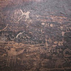 جامعة الملك فيصل توقع عقداً مع ميدان الفروسية بالأحساء