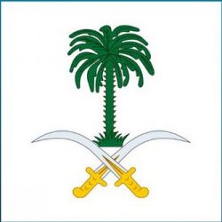 الجوازات تبدأ استقبال إجراءات طلبات تمديد “هوية زائر” لليمنيين المنتظمين في التجديد للفترات السابقة