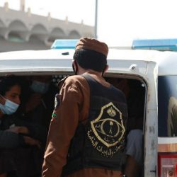 “البيئة” و”الأوقاف” تطرح 15 ألف قطعة أرض وقف زراعية للاستثمار جنوب غرب المملكة