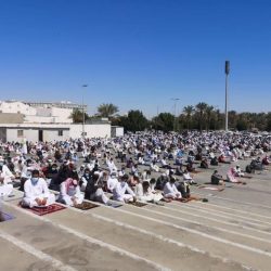 هل يمكن إضافة أنشطة مختلفة في السجل التجاري؟.. «التجارة» توضح