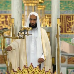 أمانة الجوف تنهي إعادة تأهيل وتطوير المدخل الشمالي لمدينة سكاكا