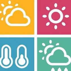 تكليف الأستاذة ندى منشي مشرفاً عاماً على التفتيش المكتبي بالشرقية