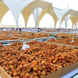 سفارة المملكة في “مانيلا” تعلن عن استئناف إرسال العمالة الفلبينية بعد الإيقاف المؤقت