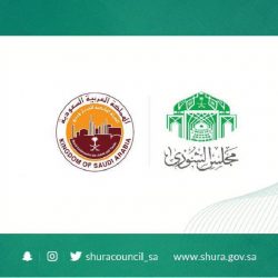 القوات الخاصة للأمن البيئي تضبط مخالفين لنظام البيئة لبيعهم حطبًا محليًا لأغراض تجارية