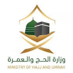 *٢٤٠ الف نحله تغطي وجه نحال الباحة*