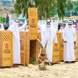 وزارة الحج والعمرة تؤكد اكتمال توظيف منظومتها التقنية في خدمة ضيوف الرحمن لأداء موسم حج هذا العام