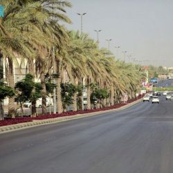 الأمانة العامة للجان الضريبية تطلق دليل الخدمات الإلكترونية