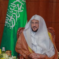 “البيئة” تحذر من خطورة وضع الجراد الصحراوي في منطقة القرن الإفريقي