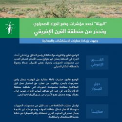 *28 فرقة صحية تجوب محافظات جازان لتقديم خدمة لقاح كورونا لكبار السن*