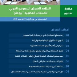 حالة الطقس المتوقعة اليوم الثلاثاء