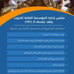 “الكهرباء” تصدر الفواتير باللغة الإنجليزية لغير الناطقين بالعربية