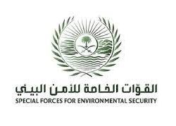 الفرق الرقابية والتفتيشية بالزكاة والضريبة والجمارك تضبط العديد من المخالفات الضريبية والجمركية