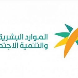 القوات الخاصة للأمن البيئي تضبط مخالفين لنظام البيئة يقومون بنقل الرمال وتجريف التربة