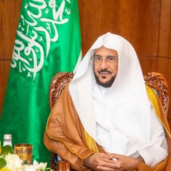 تعديل قائمة أنواع النشاط المستثنى من الاستثمار الأجنبي .. ونقل مهمات توزيع وبيع المياه المعالجة إلى “الري”