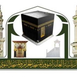القوات الخاصة للأمن البيئي توقف (23) مخالفًا لنظام البيئة لارتكابهم مخالفات رعي