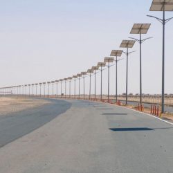 البيئة”: 10 أيام على انتهاء مهلة استيراد الخضروات والفواكه الطازجة دون أذونات استيراد إلكترونية