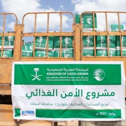 “الصحة”: تسجيل 16 وفاة و1177 إصابة جديدة بفيروس “كورونا” وشفاء 1516 حالة