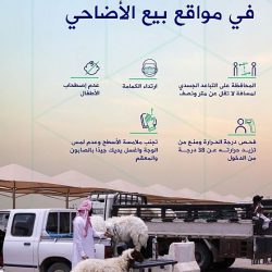 تخصيص لوحات إرشادية بــ10 لغات عالمية في صحن المطاف لتوجيه الحجاج بالالتزام بالمسارات