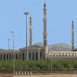 أمانة جدة تنفذ 415 جولة على الأسواق وتتلف أكثر من 26 طنًا من المواد الغذائية