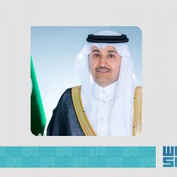 الفضلي يهنئ القيادة الرشيدة بمناسبة عيد الأضحى المبارك