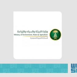 بالفيديو.. بوسني لوزير الشؤون الاسلامية نتابع نشاط المملكة السياسي وما حققته رؤية 2030 من تقدم وانفتاح على العالم
